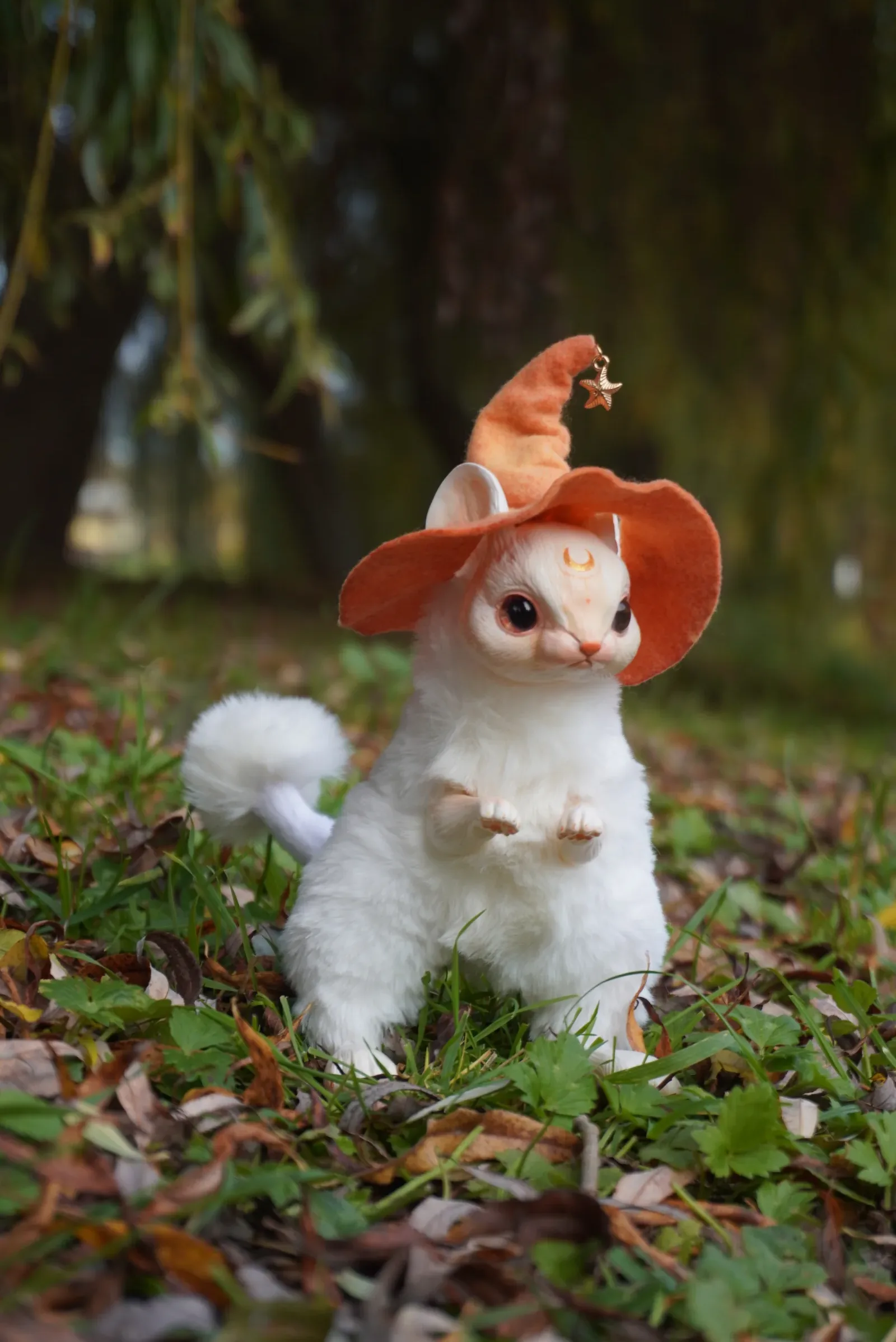 Wizard Mouse